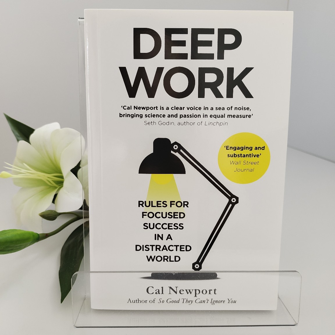 Derin Çalışma - Cal Newport |  - Renewable Energy Books incelemesi ve fiyatı